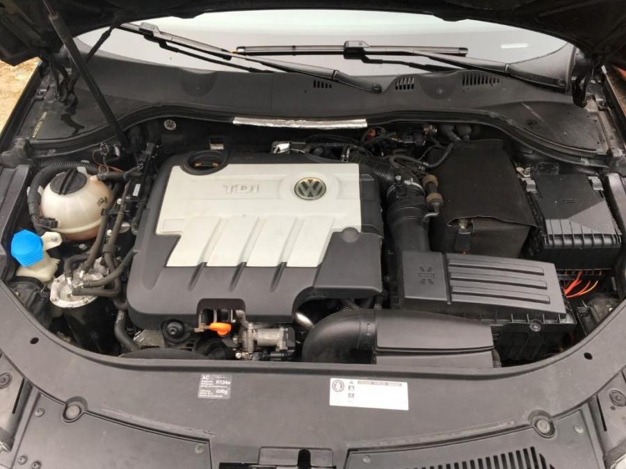 5 (Large) (Medium).JPG