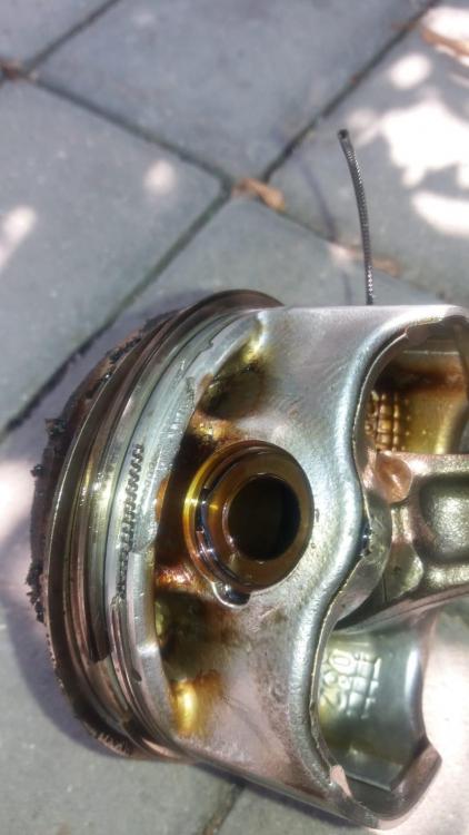 WhatsApp Image 2018-09-03 at 11.15.25.jpeg