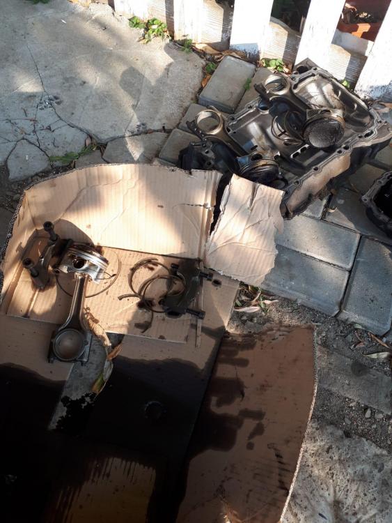 WhatsApp Image 2018-09-03 at 11.15.42.jpeg