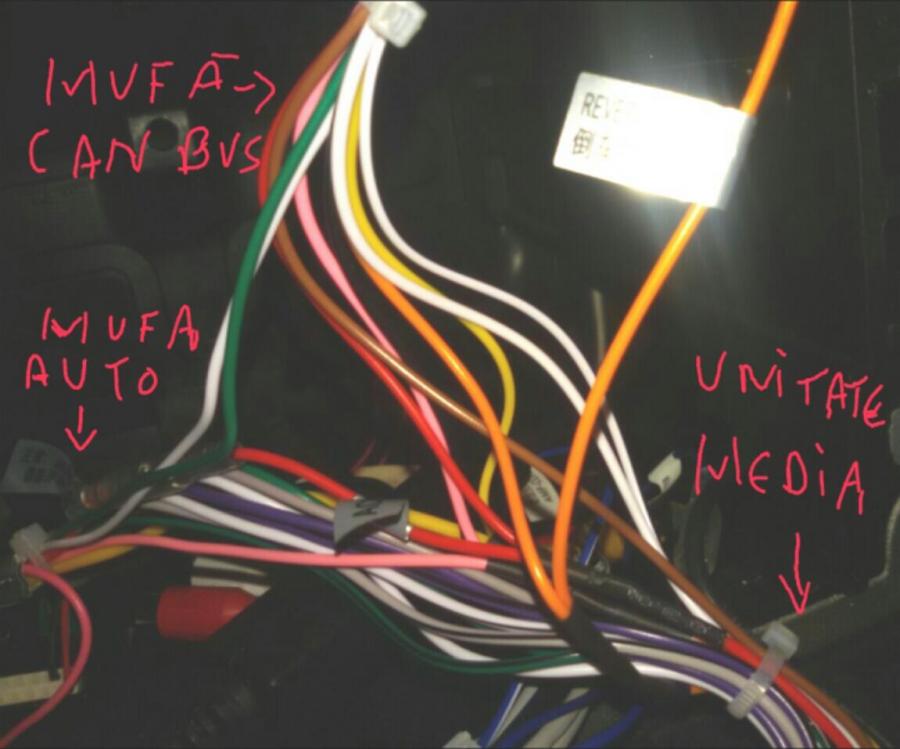 2018-11-09 23.07.39.jpg