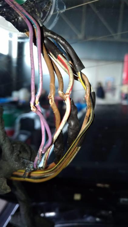 WhatsApp Image 2019-01-16 at 21.42.17(2).jpeg