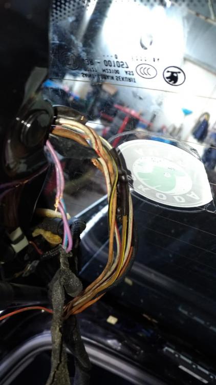 WhatsApp Image 2019-01-16 at 21.42.17.jpeg