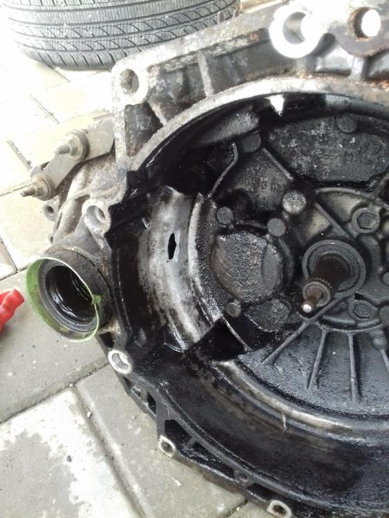 WhatsApp Image 2019-01-28 at 18.51.18.jpeg