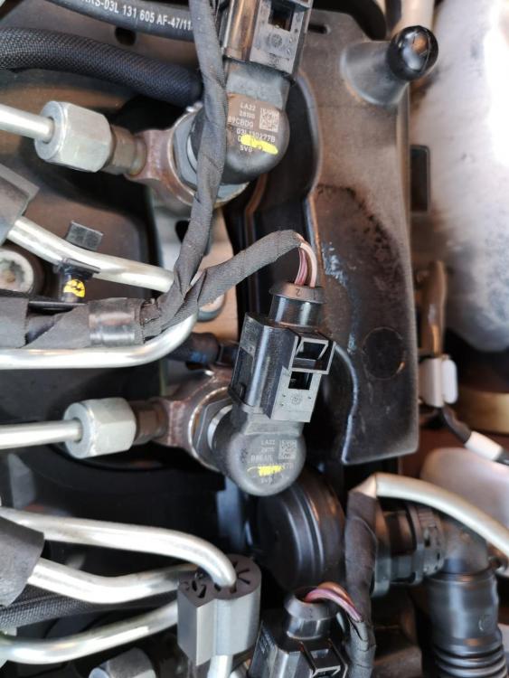 WhatsApp Image 2019-02-20 at 16.22.40.jpeg