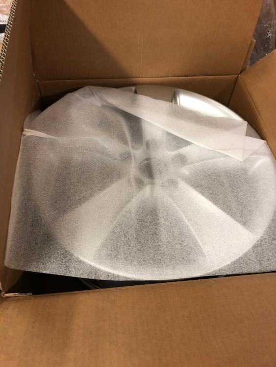 WhatsApp Image 2019-02-12 at 12.21.36.jpeg