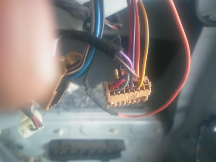 53862935_2118792278205602_5366522101178040320_n (1).jpg