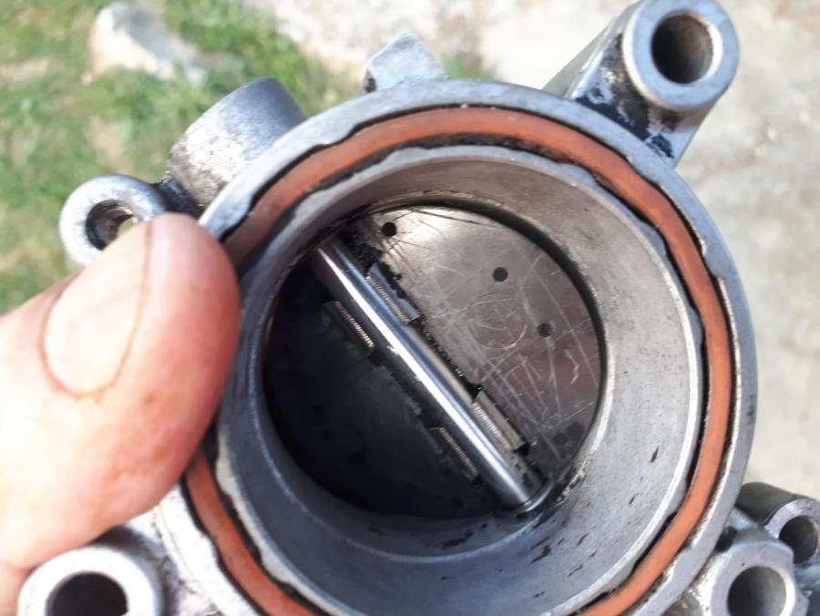 WhatsApp Image 2019-04-10 at 20.04.16(2).jpeg