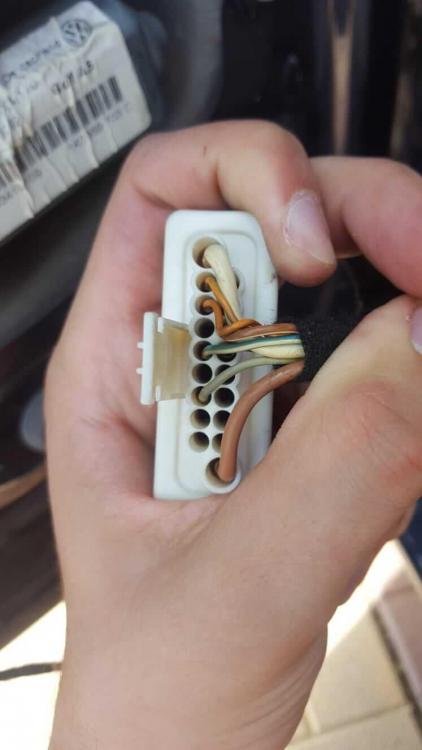 WhatsApp Image 2019-04-27 at 12.23.53.jpeg