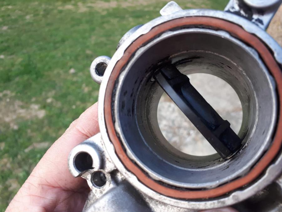 WhatsApp Image 2019-04-10 at 20.04.15.jpeg