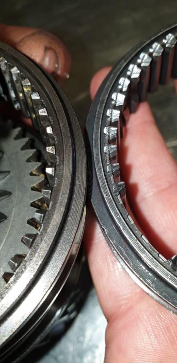 WhatsApp Image 2019-05-18 at 16.21.49.jpeg