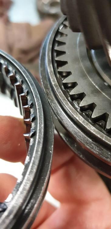 WhatsApp Image 2019-05-18 at 16.22.21.jpeg