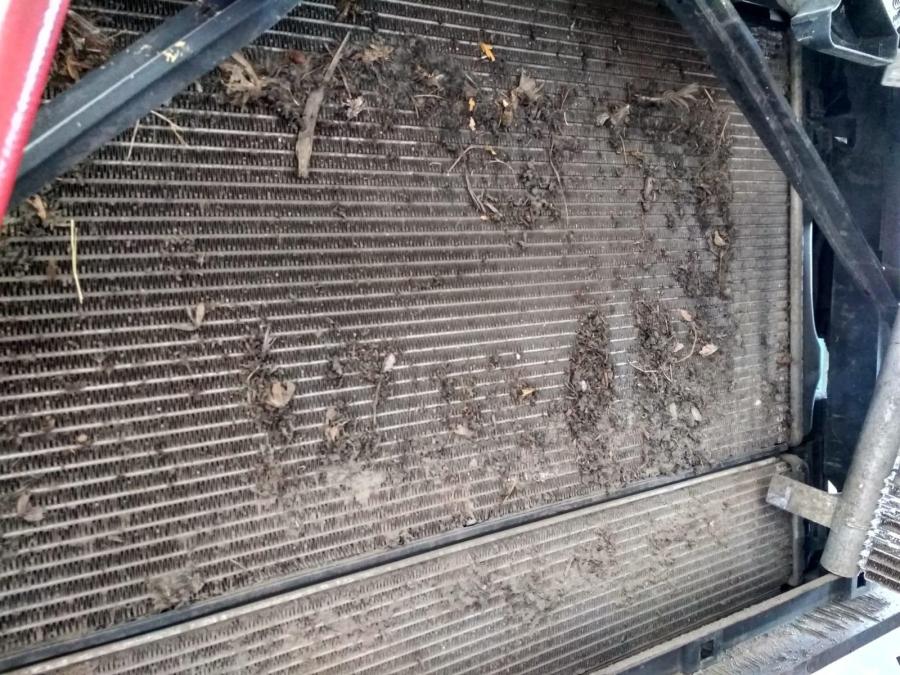 WhatsApp Image 2019-07-26 at 22.46.39.jpeg