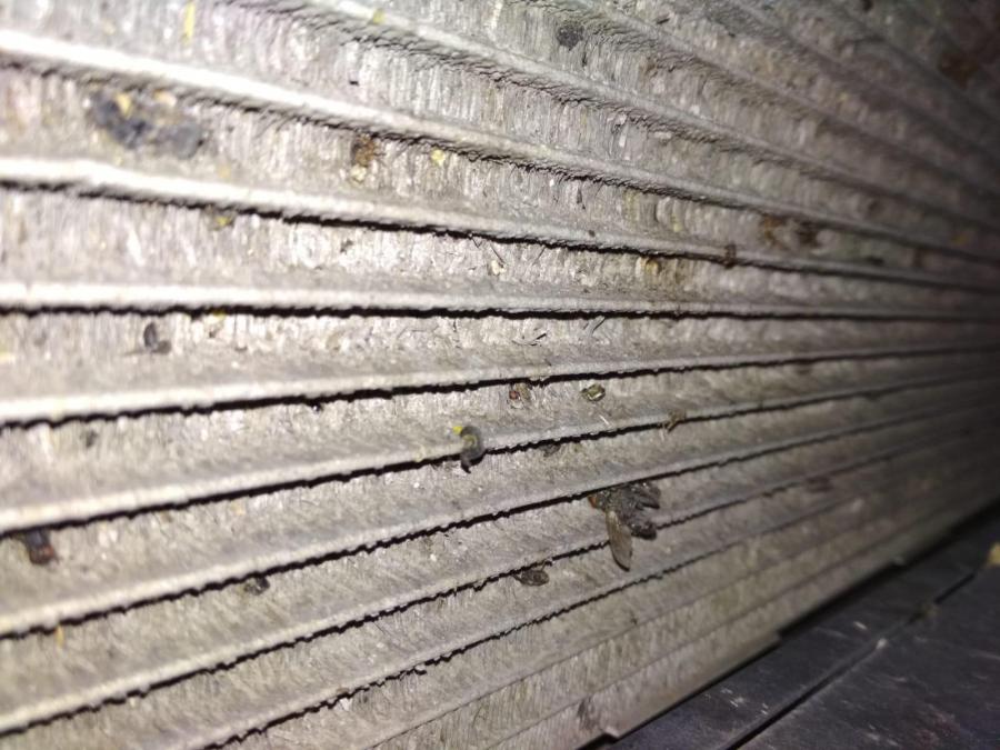 WhatsApp Image 2019-07-26 at 22.46.38.jpeg