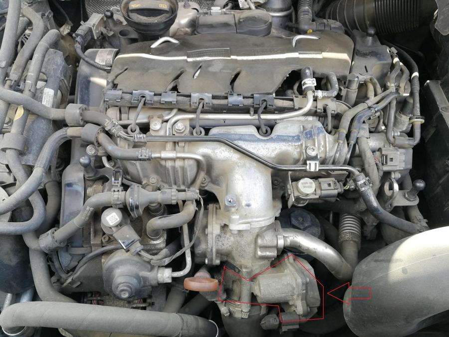 IMG_20190806_155601- copie.jpg