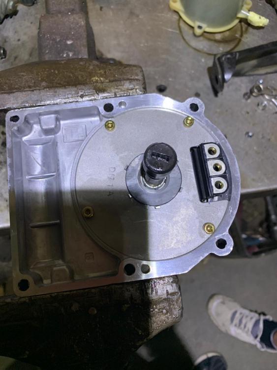 WhatsApp Image 2019-09-02 at 17.25.13.jpeg