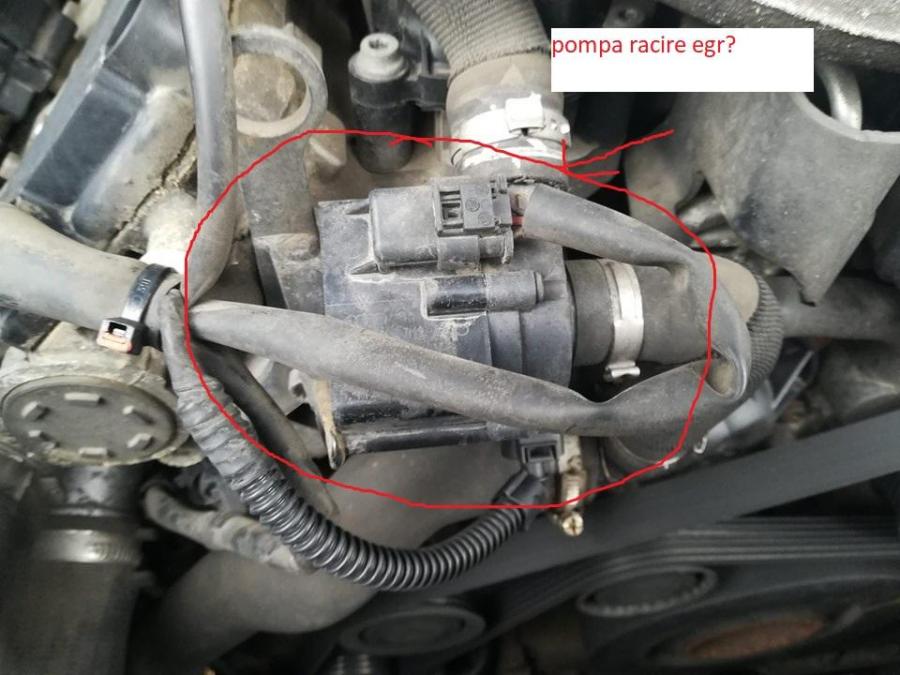 pompa egr 2.jpg