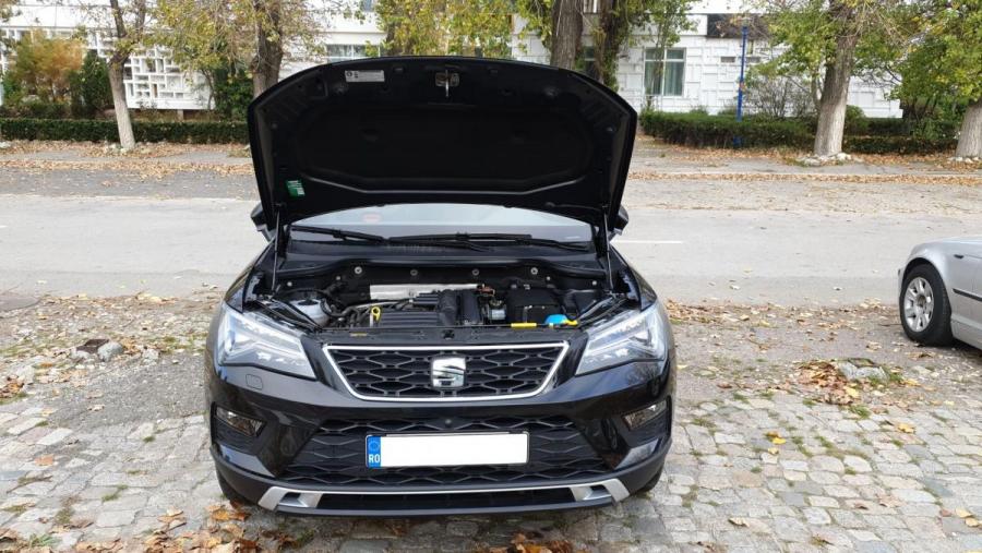 Amortizoare capota.jpeg