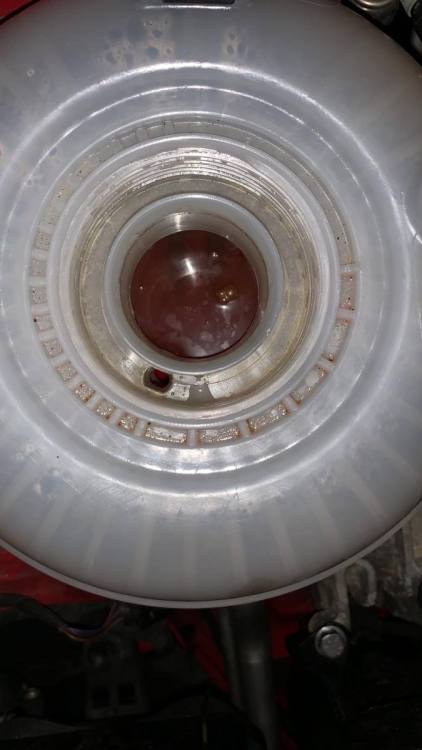 WhatsApp Image 2020-01-07 at 07.27.16.jpeg