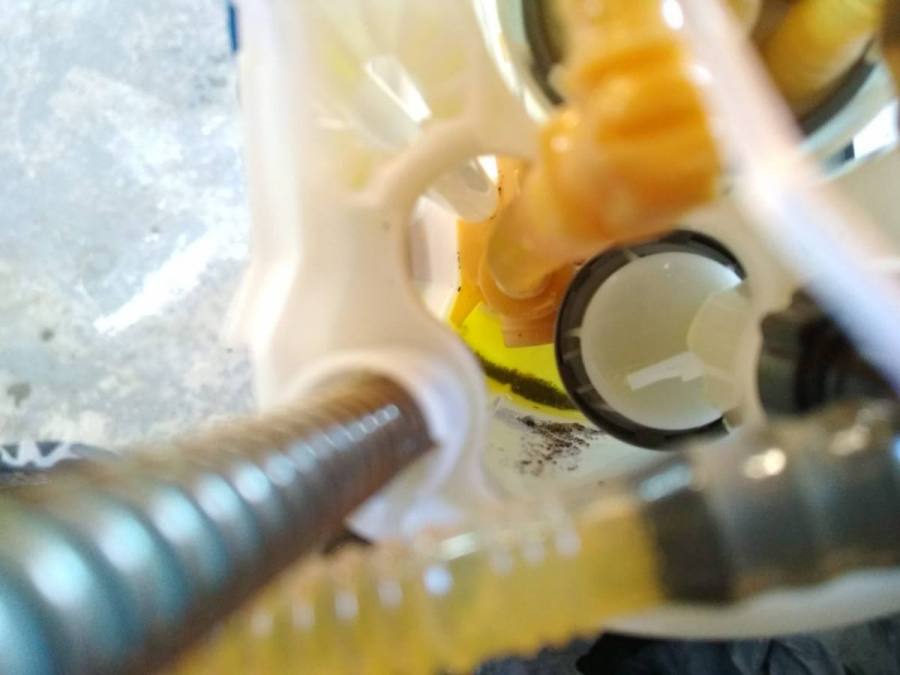 WhatsApp Image 2020-01-18 at 17.47.40.jpeg