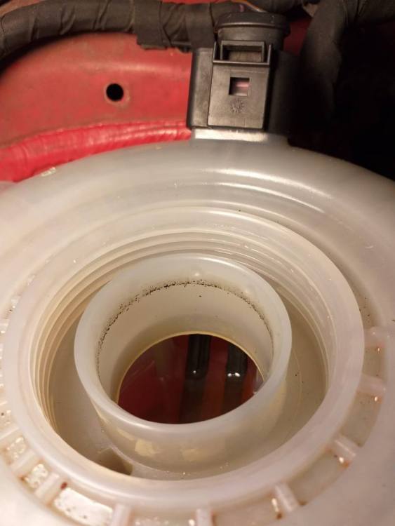 WhatsApp Image 2020-01-07 at 11.21.04.jpeg