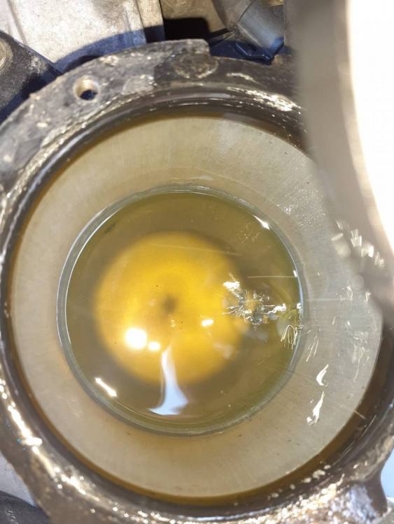 WhatsApp Image 2020-04-10 at 19.31.47 (4).jpeg