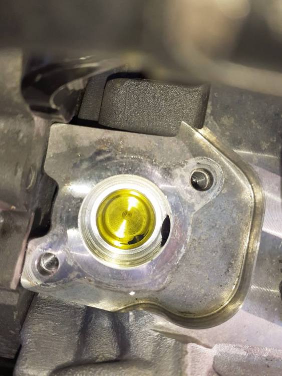 WhatsApp Image 2020-04-10 at 19.31.47 (2).jpeg