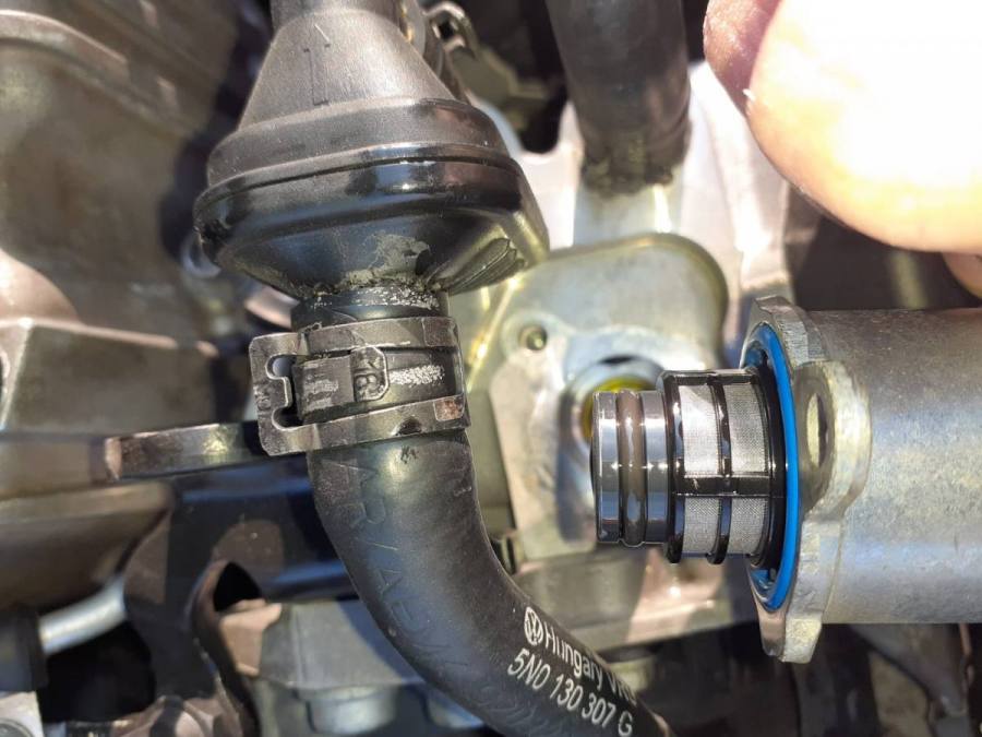 WhatsApp Image 2020-04-10 at 19.35.06.jpeg