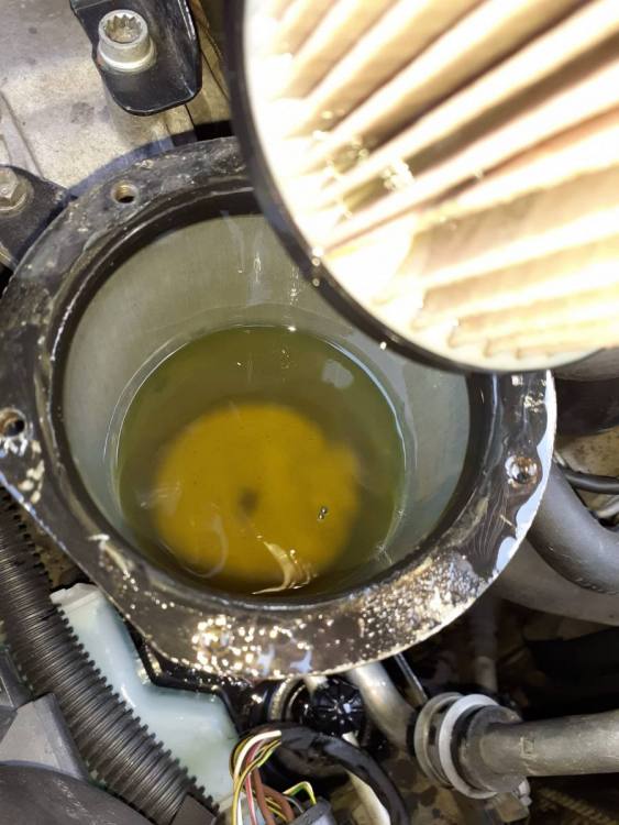 WhatsApp Image 2020-04-10 at 19.31.47 (3).jpeg