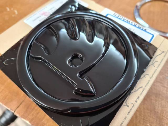 Emblema plastidip.jpg