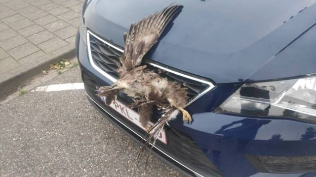 WhatsApp Image 2020-09-08 at 20.02.33 (1).jpeg