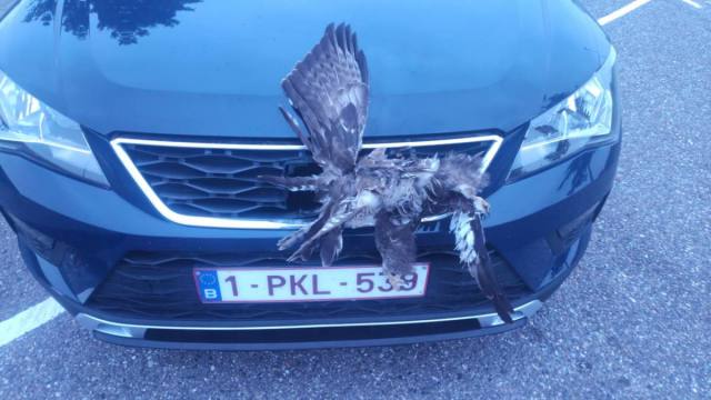 WhatsApp Image 2020-09-08 at 20.02.33.jpeg