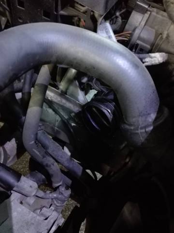 WhatsApp Image 2020-10-26 at 17.31.07.jpeg