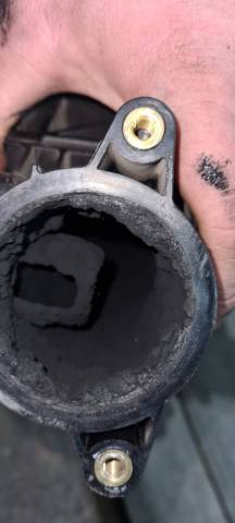 WhatsApp Image 2020-11-23 at 13.19.51 (1).jpeg