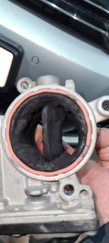 WhatsApp Image 2020-11-23 at 13.19.51.jpeg