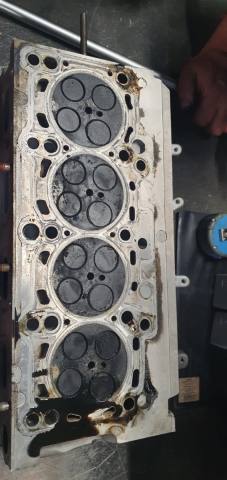 WhatsApp Image 2020-12-07 at 16.14.30.jpeg