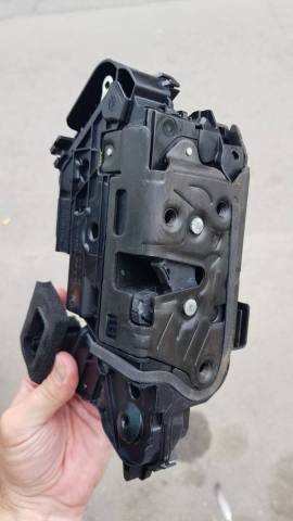 Broasca Ateca 02.jpg