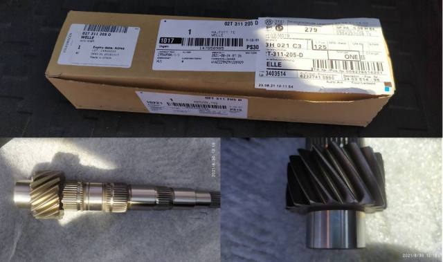 10_Arbore antrenat nou.jpg