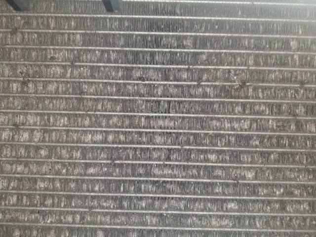 WhatsApp Image 2021-08-06 at 10.37.26.jpeg