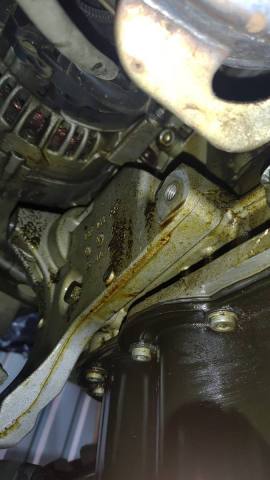 WhatsApp Image 2021-09-27 at 14.57.37.jpeg