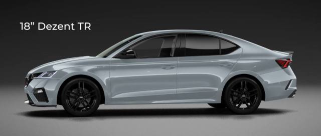 dezent_tr.jpg