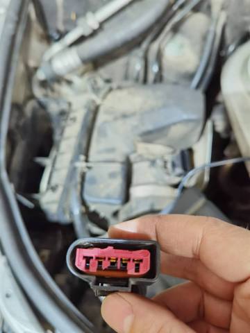 WhatsApp Image 2022-01-10 at 20.49.40.jpeg