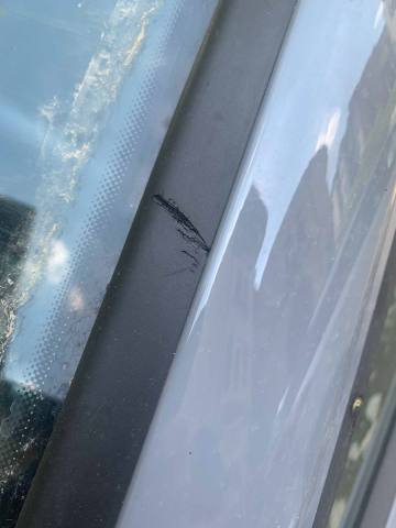 IMG_4658-min (1).jpg