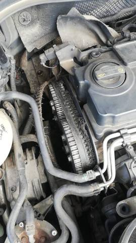 WhatsApp Image 2022-07-08 at 17.26.47.jpeg