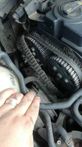 WhatsApp Image 2022-07-08 at 17.26.57.jpeg