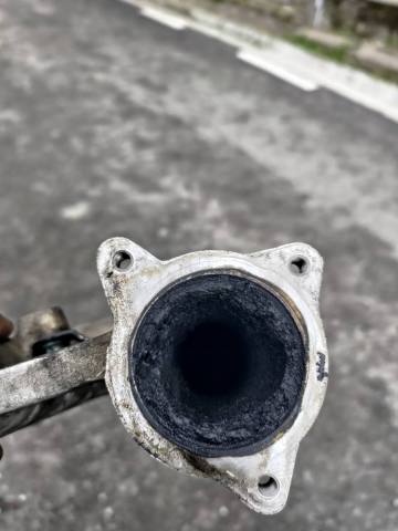 WhatsApp Image 2022-05-04 at 16.37.58.jpeg