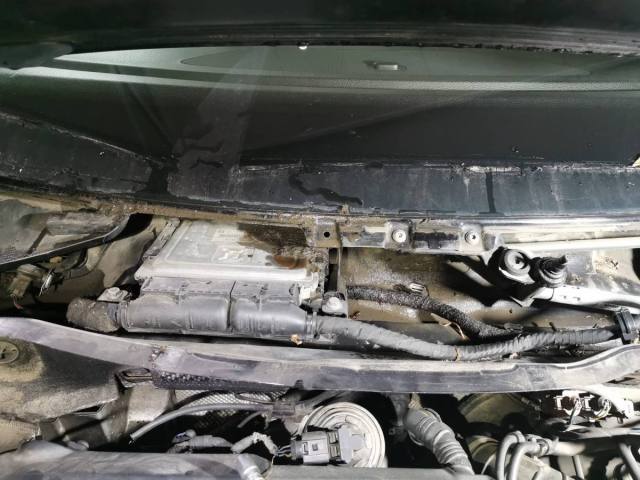 WhatsApp Image 2022-09-29 at 15.24.17.jpeg