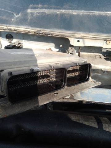 WhatsApp Image 2023-04-10 at 17.16.55.jpeg