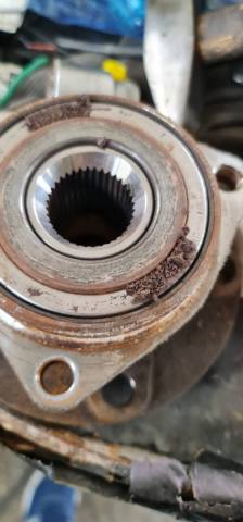 WhatsApp Image 2023-05-03 at 17.49.32.jpg