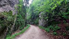 Working hard the DSG