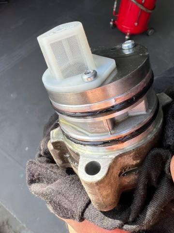 WhatsApp Image 2023-10-09 at 20.50.27 (2).jpeg